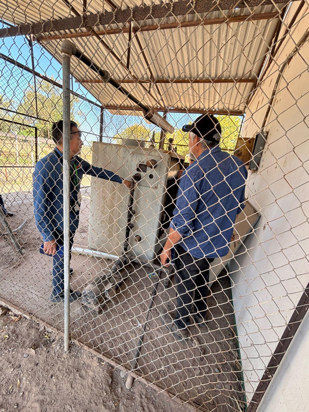 490450927 1067759218713092 5418110428845503755 n